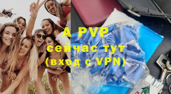apvp Верея