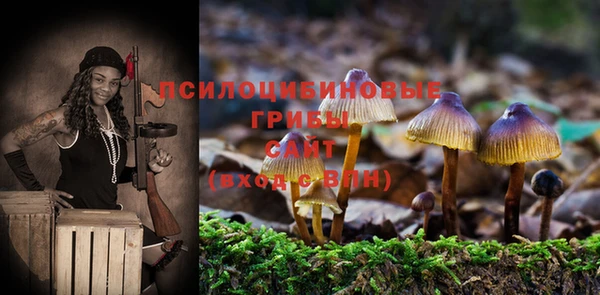 трава Верхний Тагил